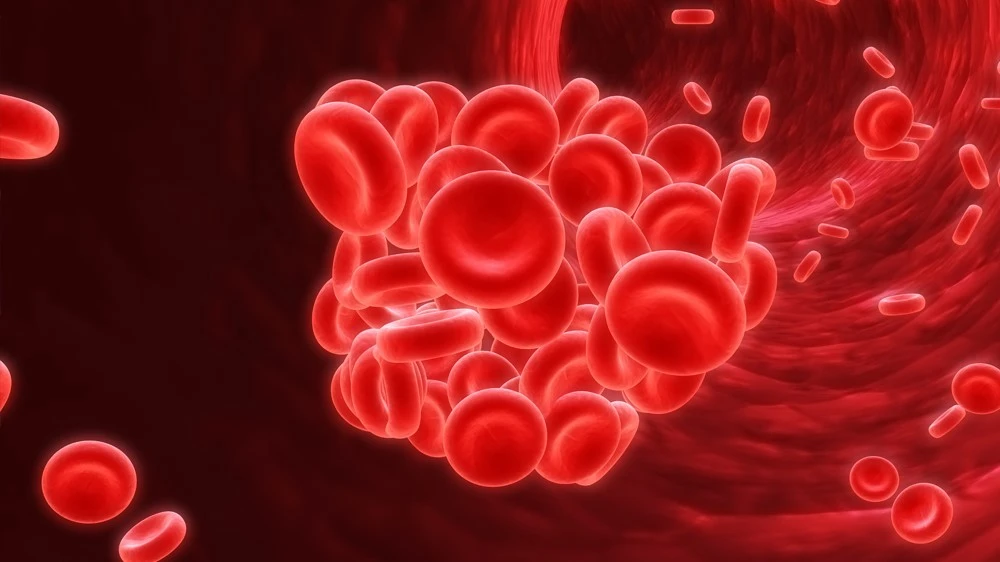 Thrombin Research