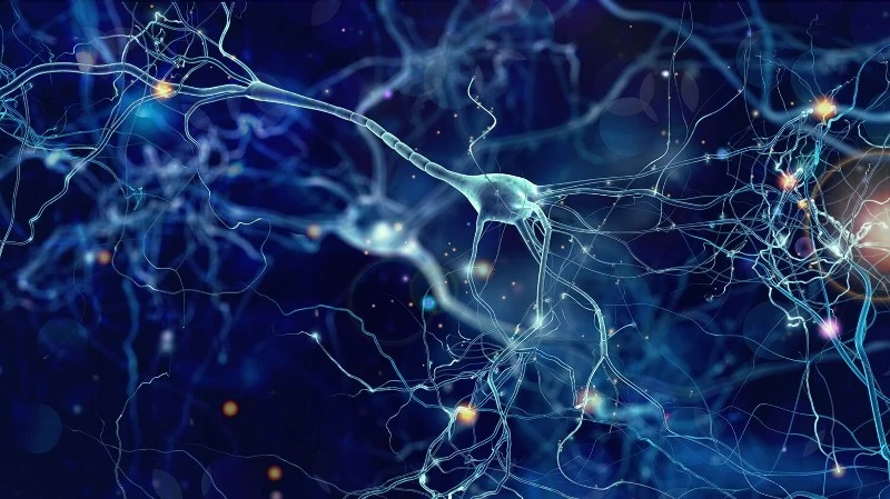 Cellular Health Cellular Health
