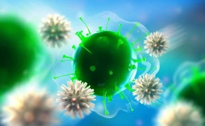 Immune Support and Health