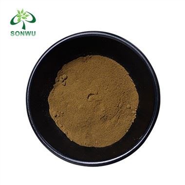 Rhodiola Rosea Root Powder