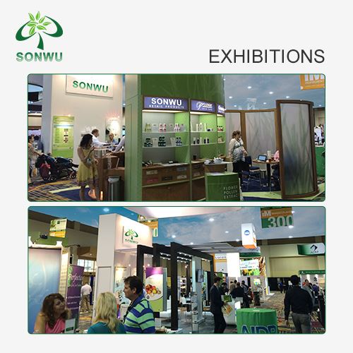 WS-23 Powder exhibition