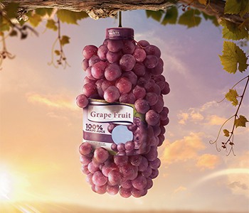 Apa yang Harus Saya Lakukan Jika Saya Ingin Makan Anggur di Musim Dingin?🍇