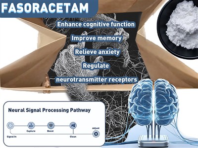 Dapatkah Fasoracetam (NS-105) Membantu Pengobatan ADHD? Wawasan Baru Tentang ...