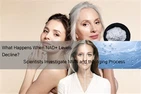 Apa Yang Terjadi Jika Kadar NAD+ Menurun? Ilmuwan Menyelidiki NMN Dan Proses ...