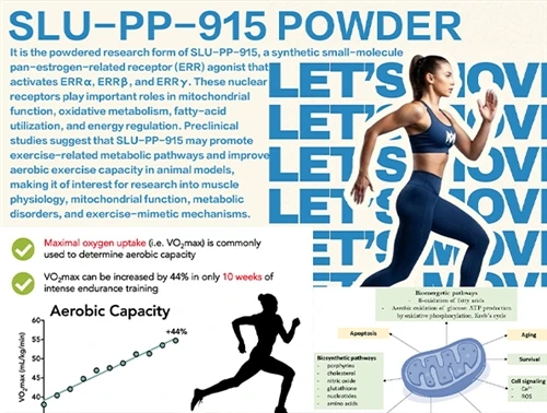 Penelitian Mengungkap Peran ERR dalam Metabolisme Energi